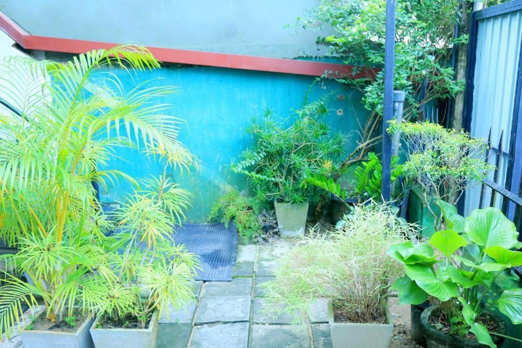 Villa Surendra Weligama Luaran gambar